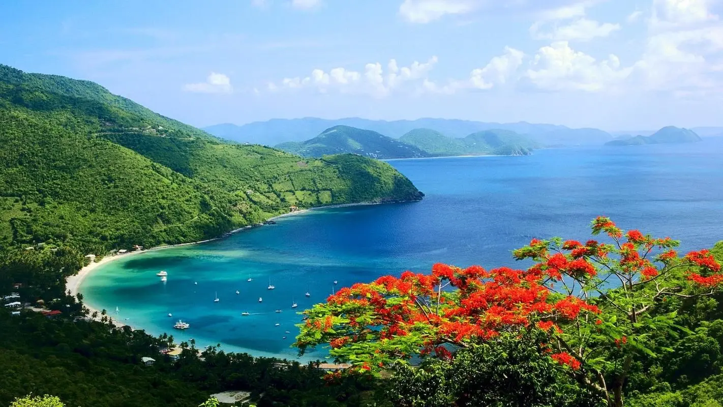 高性能高性能